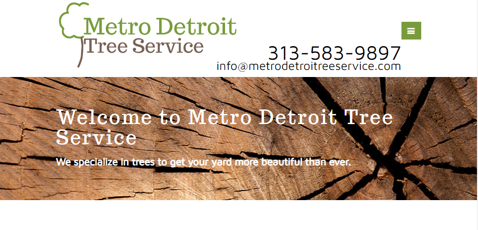 Expert Arborists in Detroit