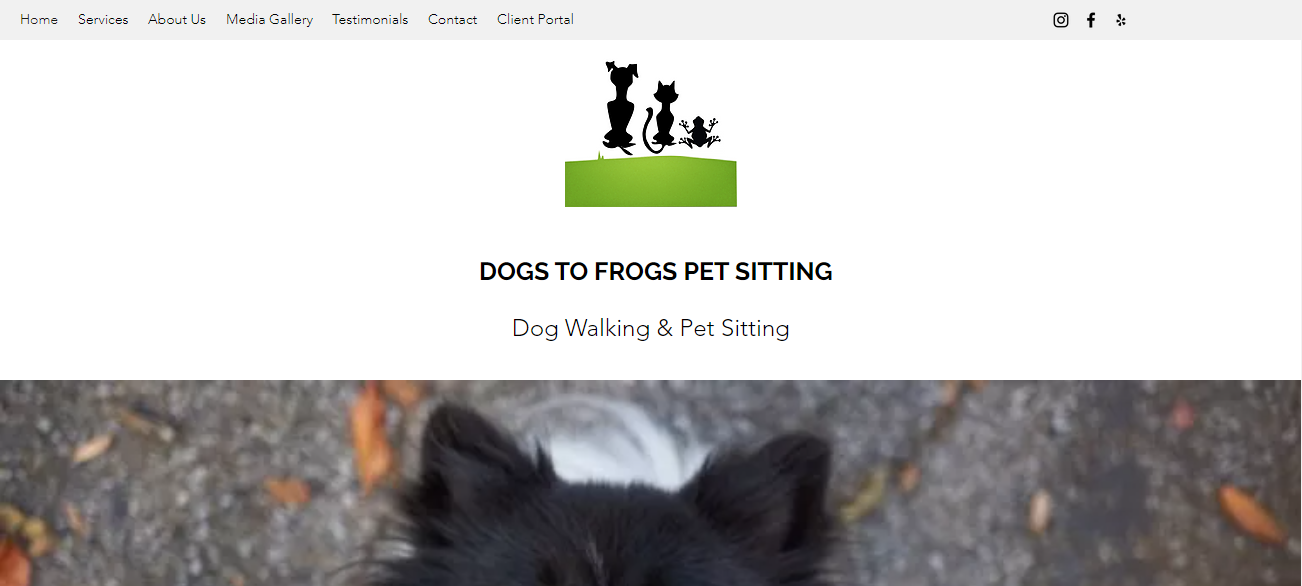 Dogs to Frogs Pet Sitting in Nashville, TN