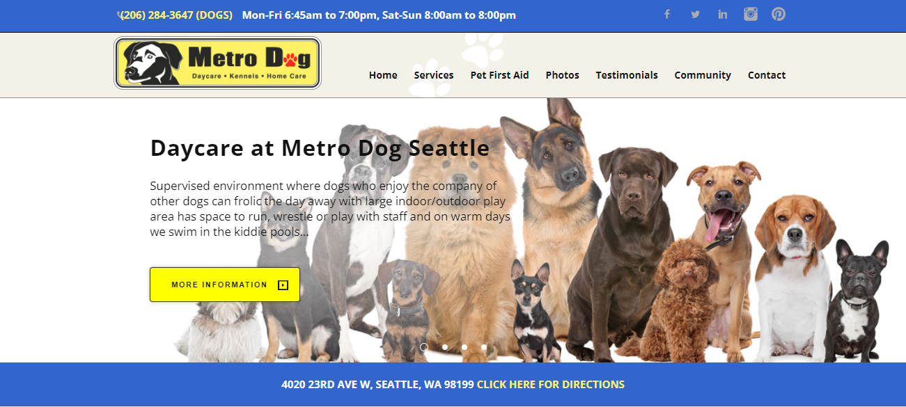 Metro Dog in Seattle, WA