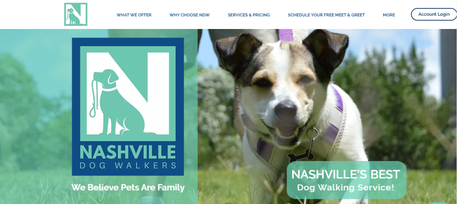 Nashville Dog Walkers in Nashville, TN