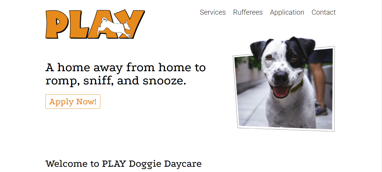 Play Doggie Daycare in Seattle, WA