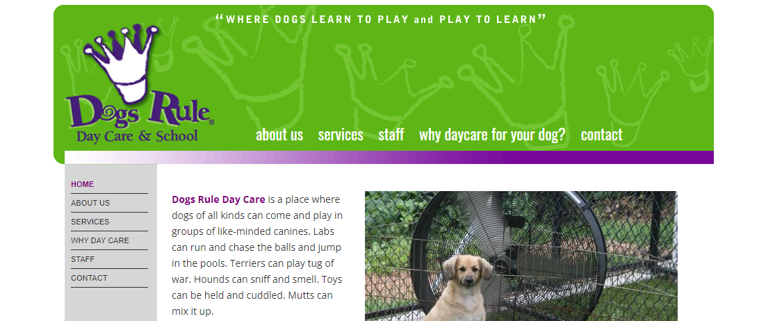Dogs Rule Day Care and School 