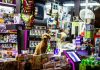 5 Best Pet Shops in Louisville