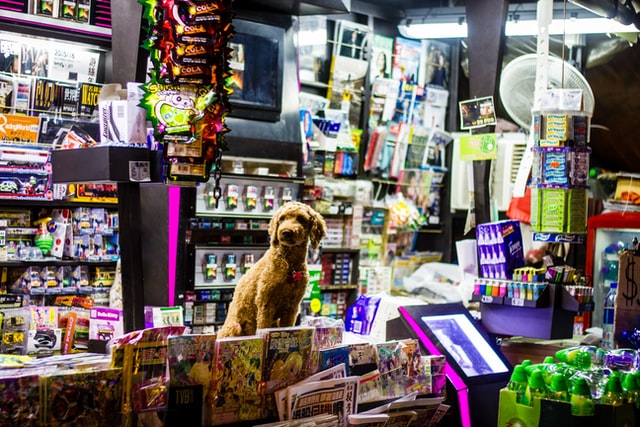 5 Best Pet Shops in Louisville