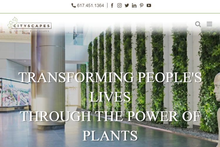 Cityscapes Plant Care Inc. Boston, MA