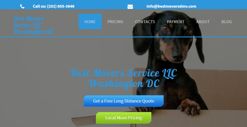 Professional Removalists in Washington