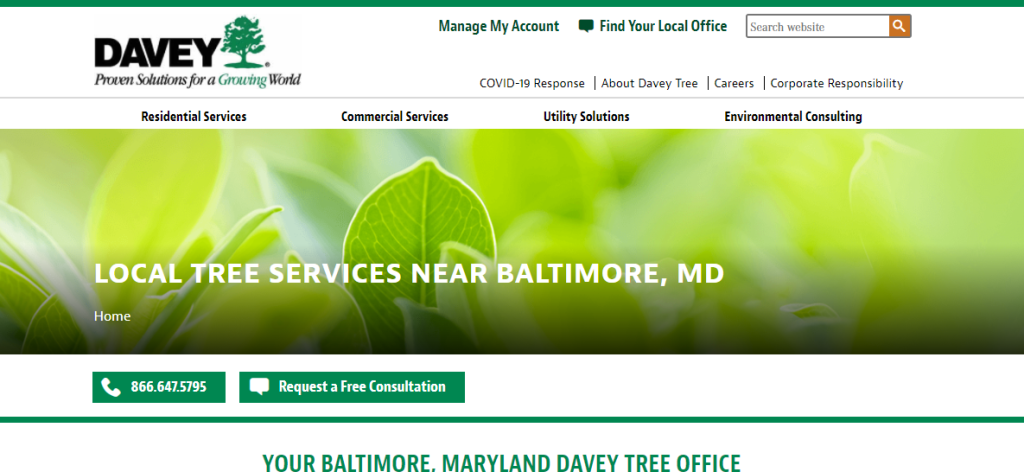 professional Tree Services in Baltimore, MD
