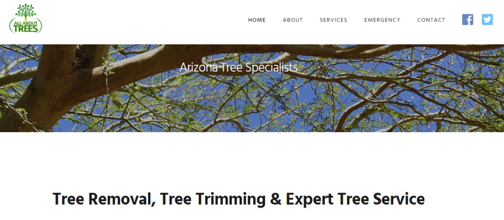 professional Tree Services in Mesa, AZ