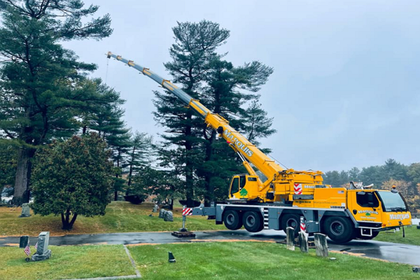 One of the best Tree Services in Boston