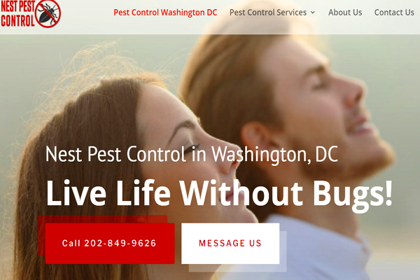 Pest Control Companies in Washington