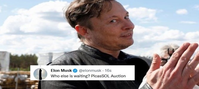 Picassol NFT Elon Musk