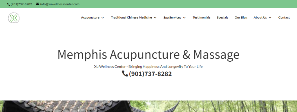 must-try Acupuncture in Memphis, TN