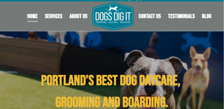 Affordable Doggy Day Care Centres in Portland