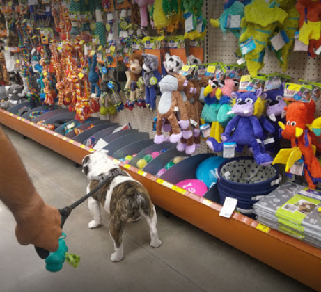 Pet Shops in El Paso