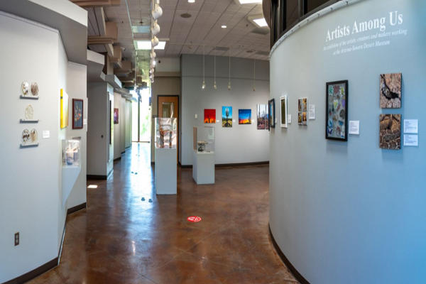 Art Galleries in Tucson