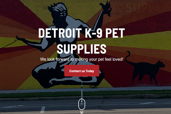 Detroit Pet Stores