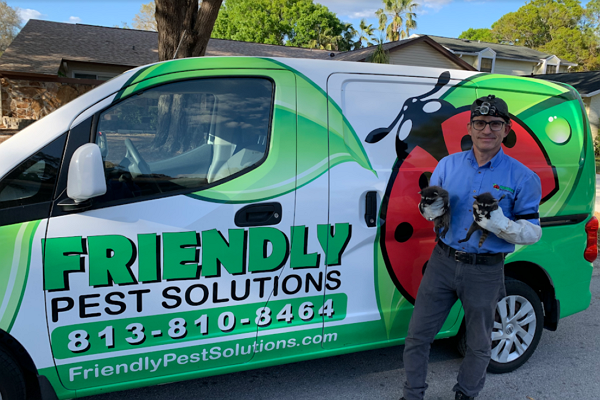 Good Pest Control Companies in Tampa