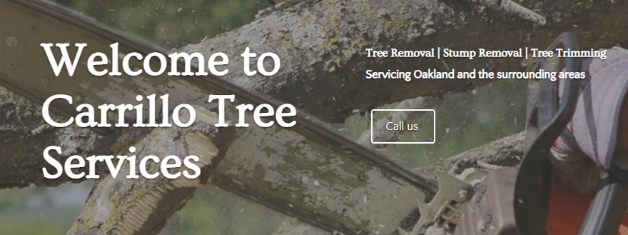 carrillo tree services