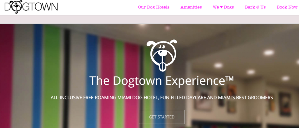 supportive Doggy Day Care Centre in Miami, FL