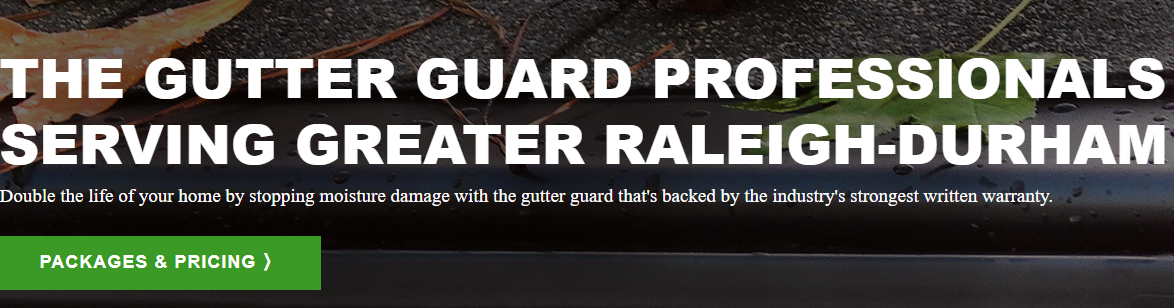 LeavesOut Gutter Guards of Raleigh