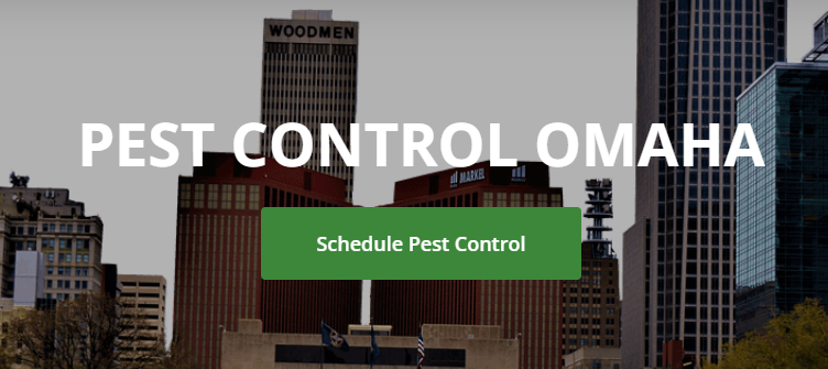 Rise Pest Control Omaha