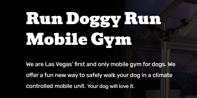 Run Doggy Run Mobile Gym, LLC