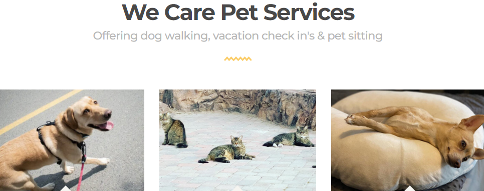 We Care Pet Services