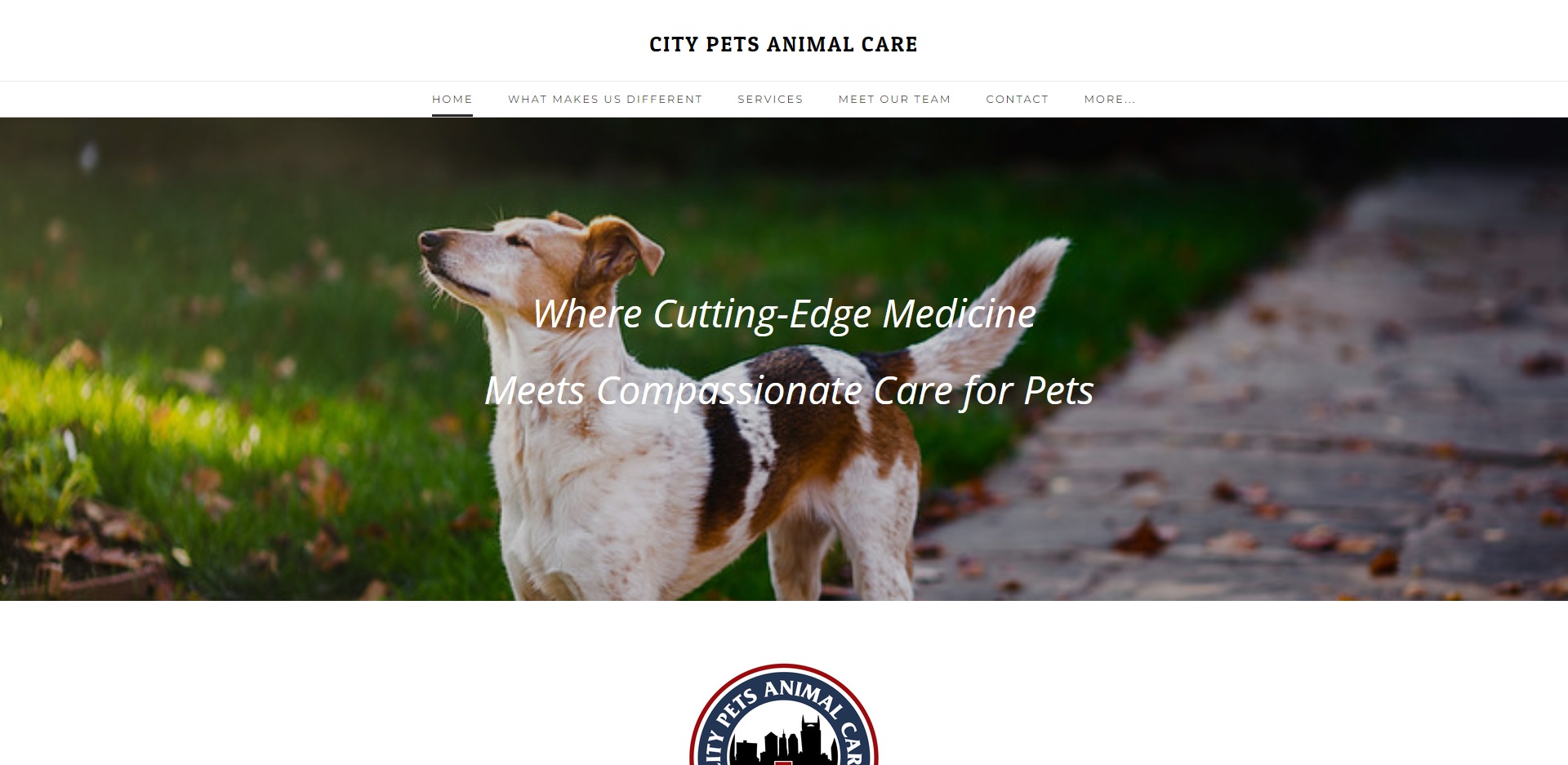 5 Best Pet Care Centres in Nashville, TN