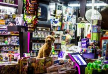 5 Pet Shops in Colorado Springs