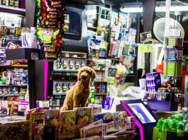 5 Pet Shops in Colorado Springs