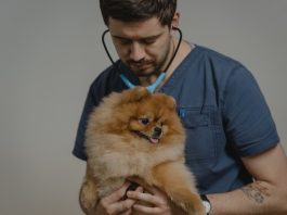 5 Best Pet Care Centres in Nashville, TN