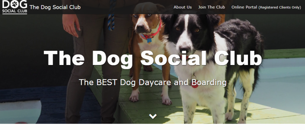 diligent Doggy Day Care Centres in Oakland, CA