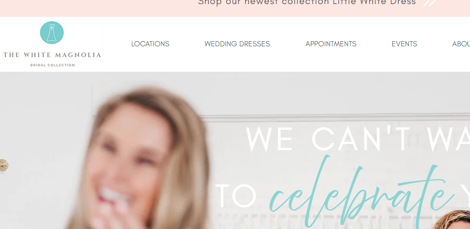 Known Bridal Shops in Tampa