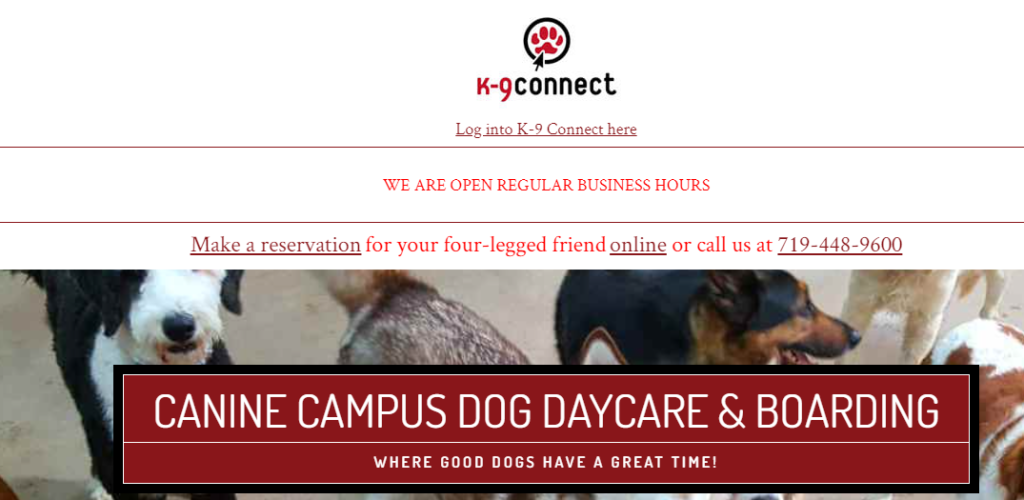 efficient Doggy Day Care Centres in Colorado Springs, CO