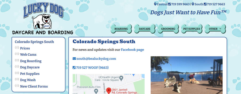 luxury Doggy Day Care Centres in Colorado Springs, CO