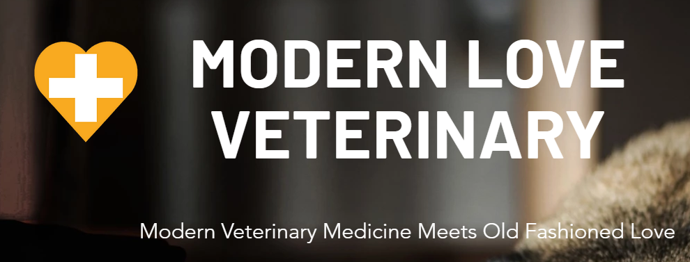 affordable Vets in Minneapolis, MN