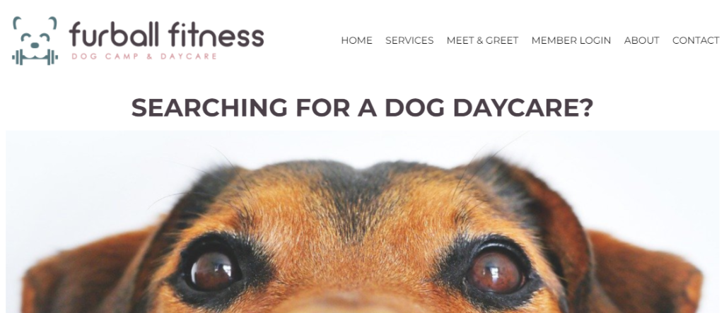 efficient Doggy Day Care Centres in Oakland, CA