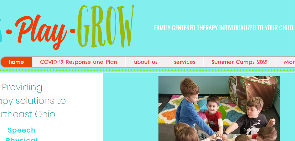 Professional Occupational Therapists in Cleveland