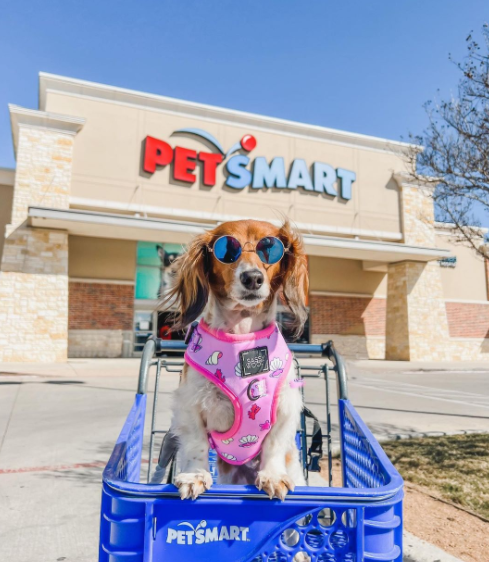 One of the best Pet Shops in Tampa