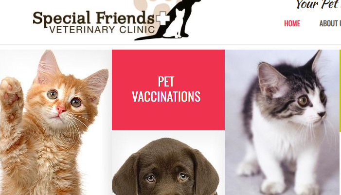 Special Friends Veterinary Clinic & Grooming