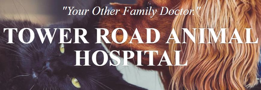 Tower Road Animal Hospital