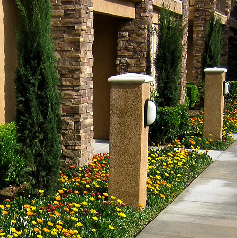 One of the best Landscaping Companies in Anaheim