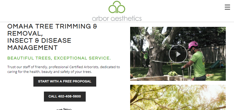 certified Arborists in Omaha, NE