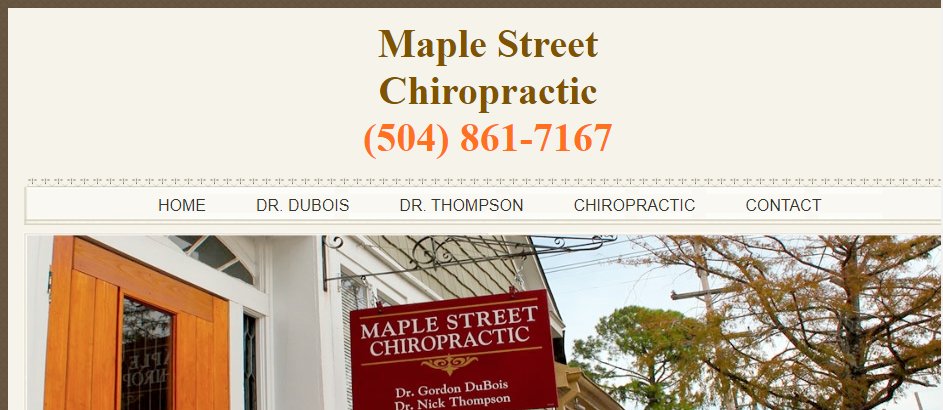 Professional Chiropractors in New Orleans