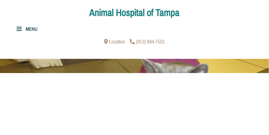 Professional Vets in Tampa