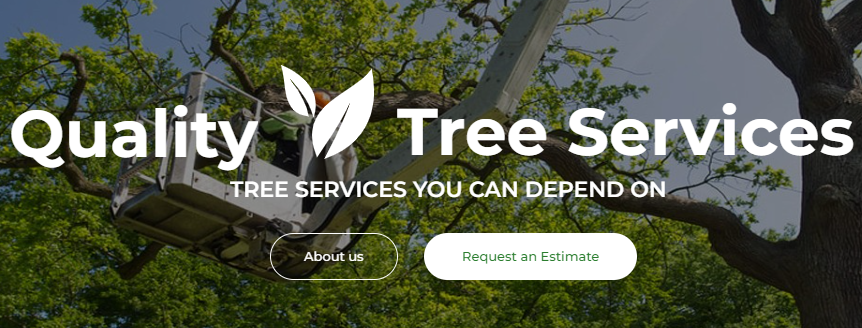 Arbor Pro Tree Services Tampa