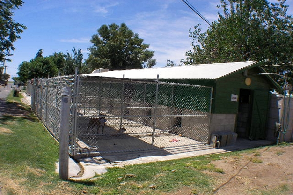Doggy Day Care Centre in Bakersfield