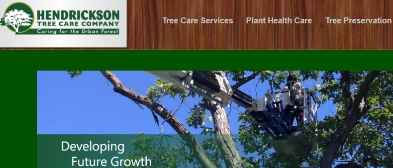 Hendrickson Tree Care Company