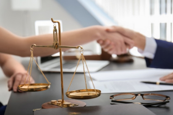 Top Contract Attorneys in Tampa