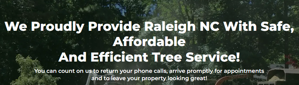 5 Best Tree Services in Raleigh, NC